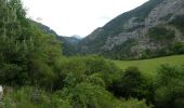 Randonnée Marche Châtillon-en-Diois - Montagne de Beaupuy - Nonnières - Photo 10