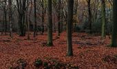 Tour Zu Fuß Putten - Groene Wissel: Putten - Photo 5