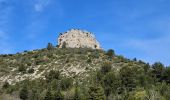 Trail Walking Plan-d'Aups-Sainte-Baume - Plan d'Aups-Sainte Baume - Photo 16