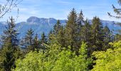 Trail Walking Les Adrets - LE GROS CAILLOU PAR LA COLONIE - Photo 8