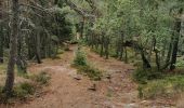 Trail Walking Saint-Nabor - boucle st nabor - Mt ste Odile  - Photo 15