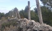 Trail Walking Leucate - la franqui - phare du cap de leucate / retour par la falaise et la plage  - Photo 11