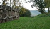 Percorso A piedi Adelsheim - Rundwanderweg Wemmershof 1: Römer-Weg - Photo 3