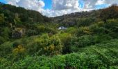 Tour Wandern Onhaye - De Miavoye à Maurenne par le vallon de Féron - Photo 9