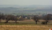 Tour Zu Fuß Zobten am Berge - Zielony Strzelce - Ząbkowice Śl. - Photo 7