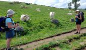 Percorso Marcia Peyre en Aubrac - live Aumont Aubrac - Nasbinals  - Photo 14