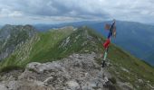 Trail On foot Zărnești - Cabana Plaiul Foii-La Lanțuri-Șaua Grindului - Photo 5