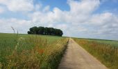 Excursión Senderismo Lieja - Rocourt - Sluizen - Vreren - Rocourt  - Photo 1