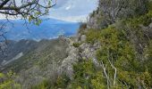 Trail Walking Teyssières - chemin de Bernard  - Photo 1