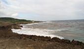 Tocht Stappen Saint-François - Anse à la Baie - Morne Caraïbe - Photo 9