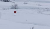 Excursión Raquetas de nieve La Pesse - La Pesse Embossieux /Le Lac de l'Embouteilleux  - Photo 4