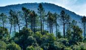 Tour Wandern Fréjus - SityTrail - Malpasset - Photo 20