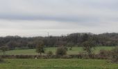 Tour Wandern Durbuy - ballade autour des menhirs, dolmens et pierres de légendes de Weris - Photo 4