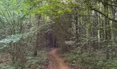 Trail Walking Aubange - Bois d’Halanzy et réserve du crassier - Photo 13
