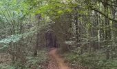 Tour Wandern Ibingen - Bois d’Halanzy et réserve du crassier - Photo 13