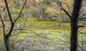 Tour Zu Fuß Willebadessen - Rundwanderweg 