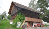Tour Zu Fuß Uster - Freudwil - Illnau - Photo 6