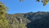 Excursión Senderismo Saint-Raphaël - Belle Barbe : les grues - Photo 4