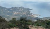 Tocht Stappen Saint-Raphaël - col de la Cadière depuis le Belle-Barbe  - Photo 11