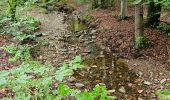 Excursión Senderismo Jalhay - 2021-11-16_21h12m11_Cirkwi-Solwaster_Sawe_-_balade_56_B (1) - Photo 6