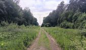 Trail Walking Seraing - bois de la vequée par les petits chemins (version courte) - Photo 12