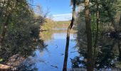 Tour Wandern Loon op Zand - Loonse Park Roestelberg 22,8 km - Photo 2