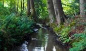 Tour Zu Fuß Halle (Westf.) - Haller Rundweg A9 - Photo 4