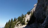 Randonnée Marche Glières-Val-de-Borne - BARGY: TRAVERSEE CENISE - LAC DE LESSY - PARADIS - Photo 3