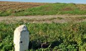 Tour Wandern Mazangé - Bonaventure - Moulin de la Loupe - Photo 19