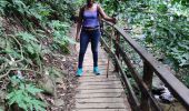 Tocht Stappen Le Prêcheur - Cascade de l'anse Couleuvre, depuis anse Céron en aller-retour ! - Photo 6