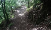 Trail Walking Pepinster - pepinster . drolenval . hoduinry . goffontaine . trou renard.  fraity . mazures . mousset . pepinster - Photo 13