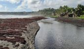 Randonnée Marche Unknown - Plage de Grande Anse Le Lorrain - Photo 6