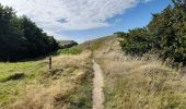 Tour Wandern Omblèze - Plateau d Ambel - Photo 12