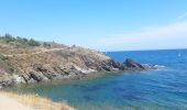 Trail Walking Port-Vendres - paulille . cap bear . paulille - Photo 10