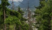 Randonnée Marche Chamonix-Mont-Blanc - Chamonix départ parking du Biolay derrière cimetière  - Photo 18