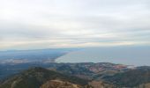 Trail Walking Collioure - madeloc depuis col de la serra, via col de villauria, batterie 500, retour  - Photo 4