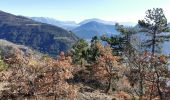 Excursión Senderismo Remollon - Le Balcon de Remollon - Photo 9