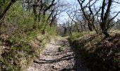 Trail Walking Puy-Saint-Martin - Puy-Saint-Martin - Crête de Chevrière - La Pigne  - Photo 4