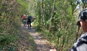Trail Walking Crestet - 2024-04-10  - Photo 6