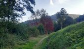 Tocht Stappen Vianden - vianden  .  bivels  .  vianden - Photo 12