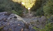 Randonnée Marche Menétrux-en-Joux - Ménétrux-en-Joux - cascades Evantail et Hérisson - Saut de la Forge - La Fromagerie - Photo 17