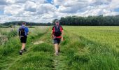 Randonnée Marche Mortcerf - Le tour du Grand Paris via le GR1 - Etape 11 Morcerf - Verneuil l'Etang - Photo 9