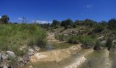 Tour Mountainbike Vallon-Pont-d'Arc - vallon pont arc au col de la cize - Photo 3