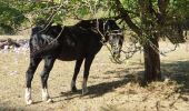 Randonnée Marche Châteaufort - gitane à  Chateaufort  - Photo 4