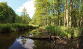 Excursión A pie Trittau - Wanderweg Nr. 36: Großensee - Mölln (GS-MÖ) - Photo 5