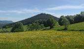 Tour Mountainbike Urbach bei Kaysersberg - Fréland Lapoutroie Orbey  - Photo 2