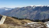 Excursión Senderismo Antignac - cap de Salieres en boucle depuis Antignac - Photo 2