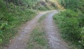 Trail Walking Saint-Paul-sur-Ubaye - le tour de tournoux  - Photo 1