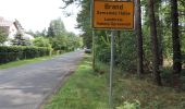 Tour Zu Fuß Halbe - Rundwanderweg Briesen-Staackmühle - Photo 7