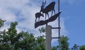 Tour Wandern Aix-Villemaur-Pâlis - La Brosse - Photo 1